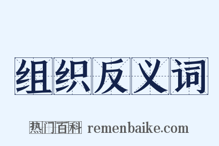 组织反义词是什么意思的图片